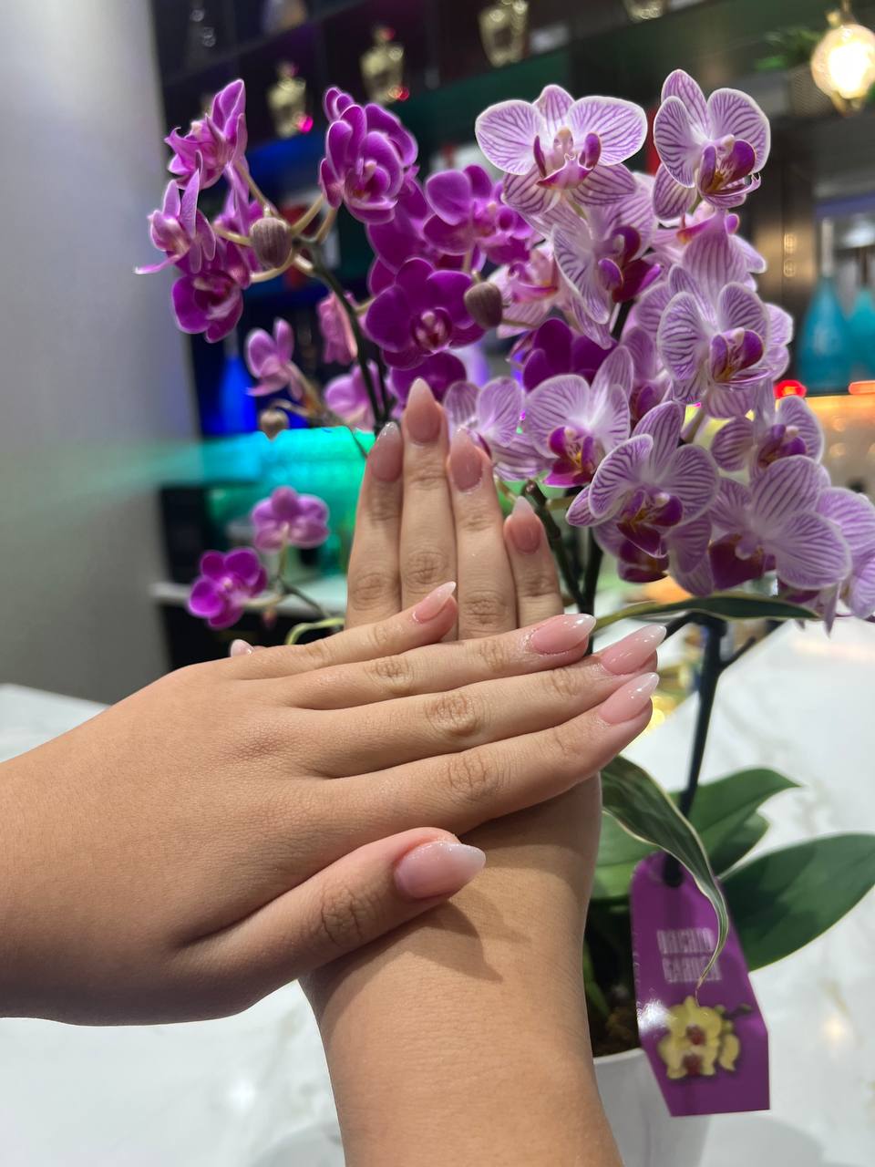 photo_2025-12-23_06-27-47